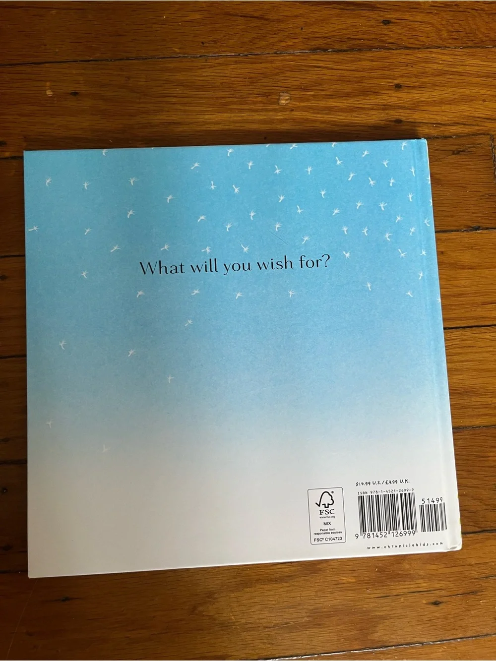 I Wish You More - Children's Picture Book (Blue Cover)